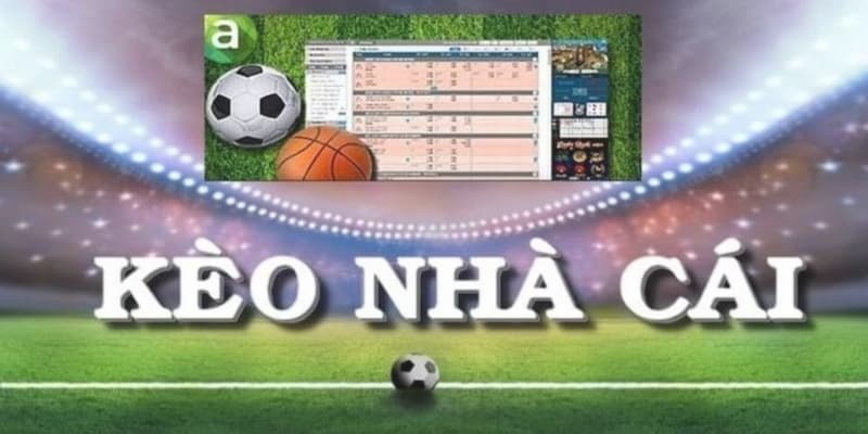 Cách Đọc và Hiểu Tỷ Lệ Kèo Nhà Cái Max88